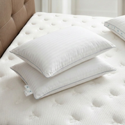 Sealy Grandeur Plush Pillow