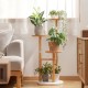 Ivy Moso Bamboo Plant Display Shelf