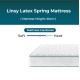 Linsy Latex Spring Mattress - H20cm