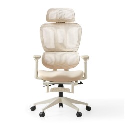 Hanson Swivel Ergonomic Study Chair with Footstool