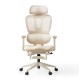 Hanson Swivel Ergonomic Study Chair with Footstool