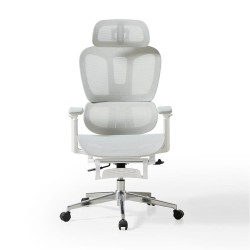 Hanson Swivel Ergonomic Study Chair with Footstool