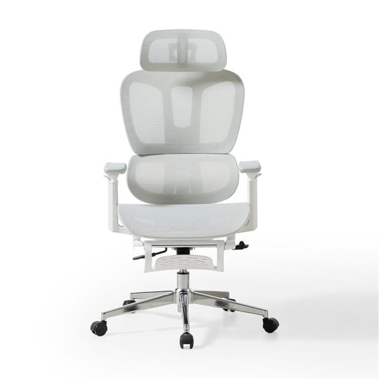 Hanson Swivel Ergonomic Study Chair with Footstool