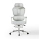Hanson Swivel Ergonomic Study Chair with Footstool