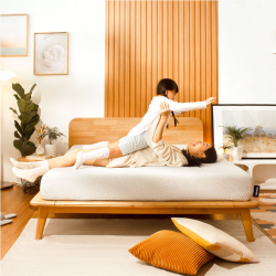 Sonno Lite Plus Mattress